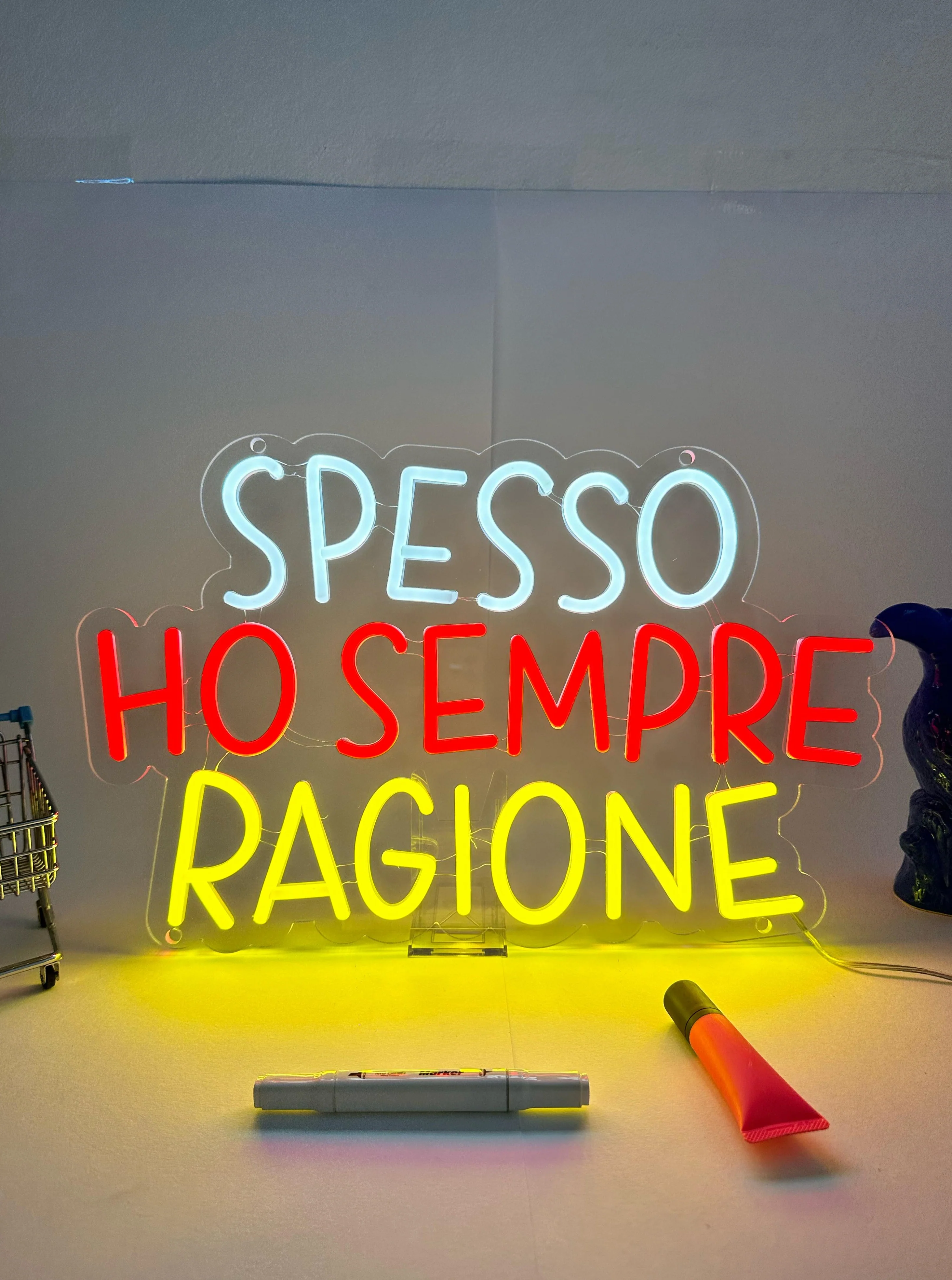 SPESSO HO SEMPRE RAGIONE - Image 4