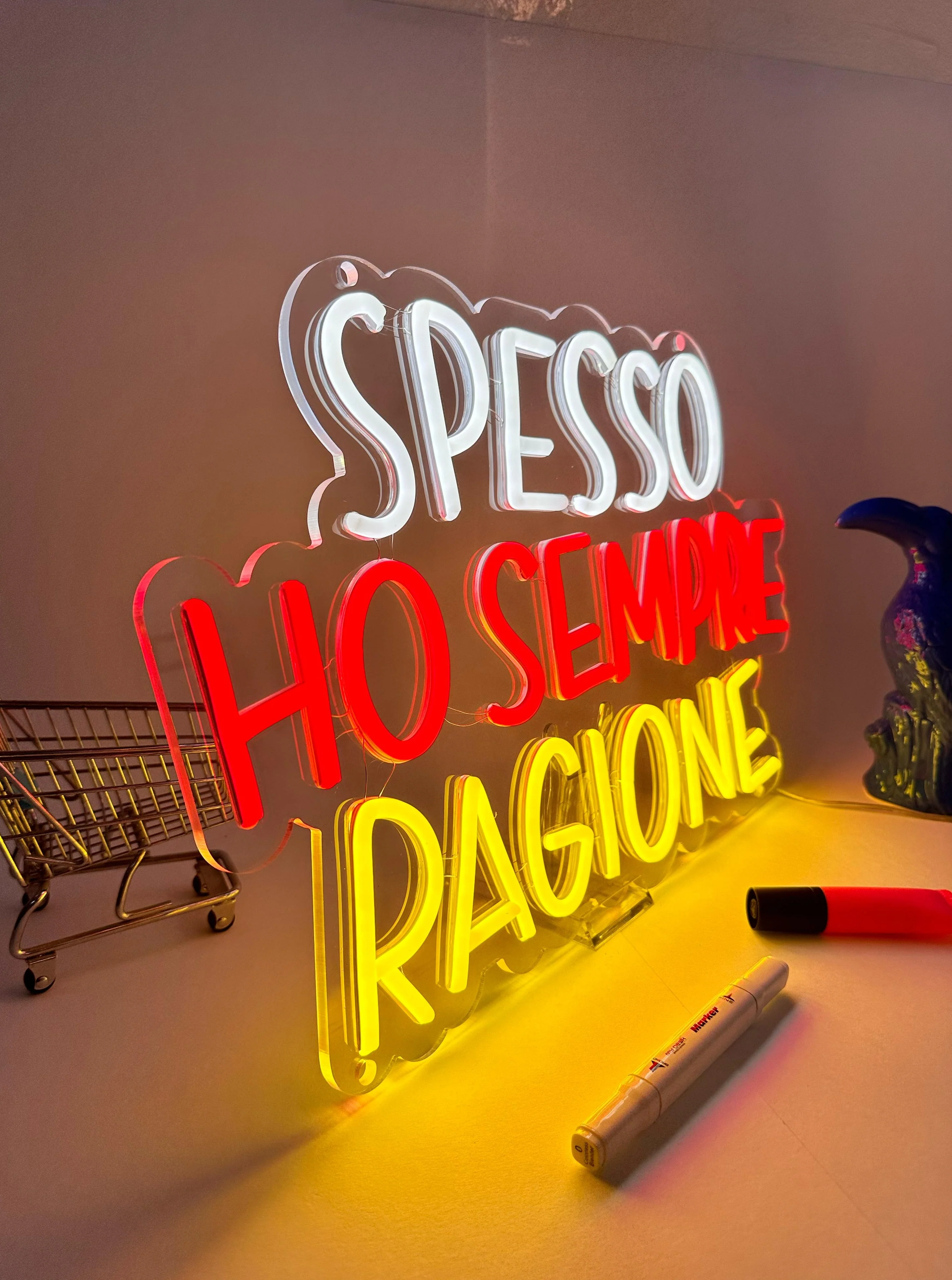 SPESSO HO SEMPRE RAGIONE - Image 5